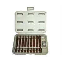 RICO 005-KK0003 19PC KAPLAMALI DELİKLİ TORX BİTS SET